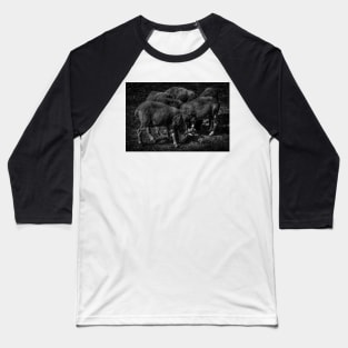 Community Farm Sheep Baseball T-Shirt